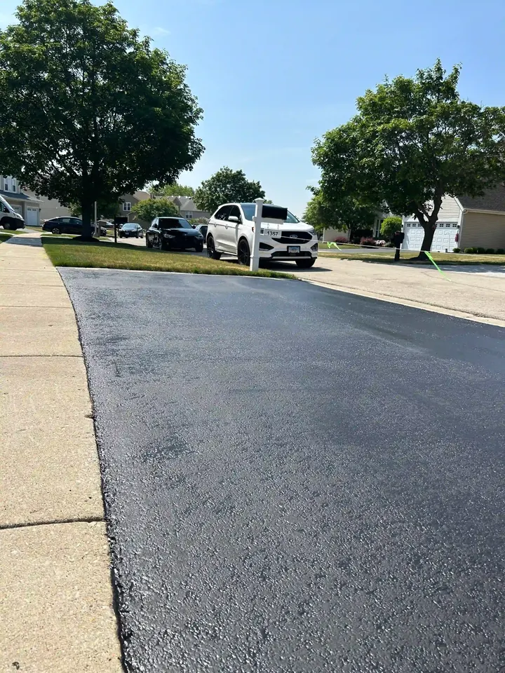 Driveway surface viewed toward the street beneath roadside trees