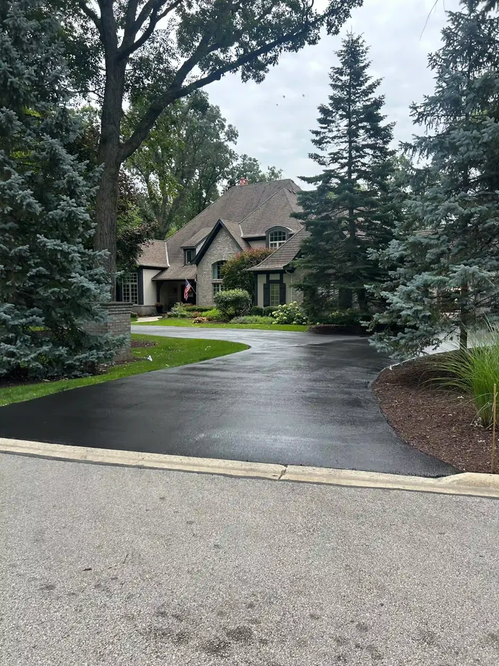 Dark driveway curving through mature trees toward a home